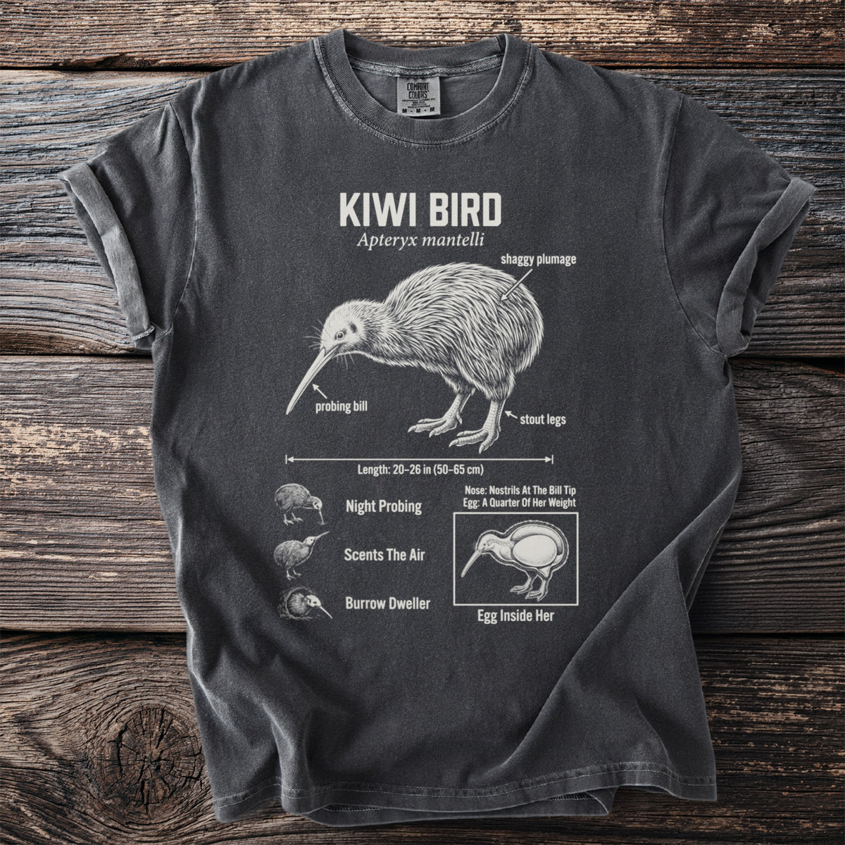 Charcoal t-shirt with detailed kiwi bird illustration and scientific labels.