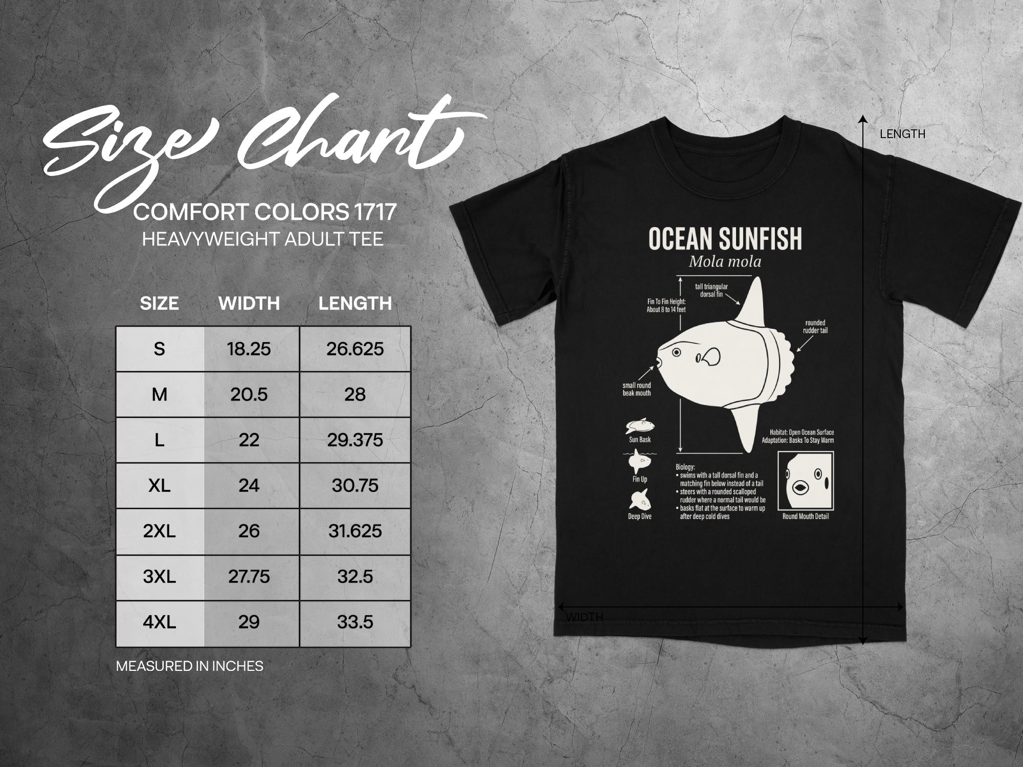 Size chart for Comfort Colors 1717 heavyweight adult tee with ocean sunfish graphic.