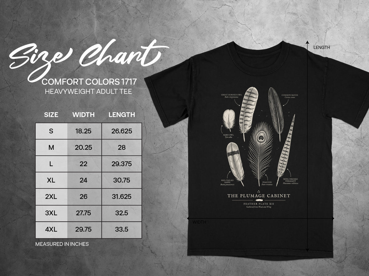 Comfort Colors 1717 t-shirt size chart with feather illustrations on black shirt.