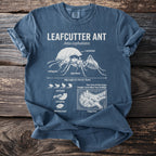 Blue t-shirt with "LEAFCUTTER ANT Atta cephalotes" graphic and ant anatomy.