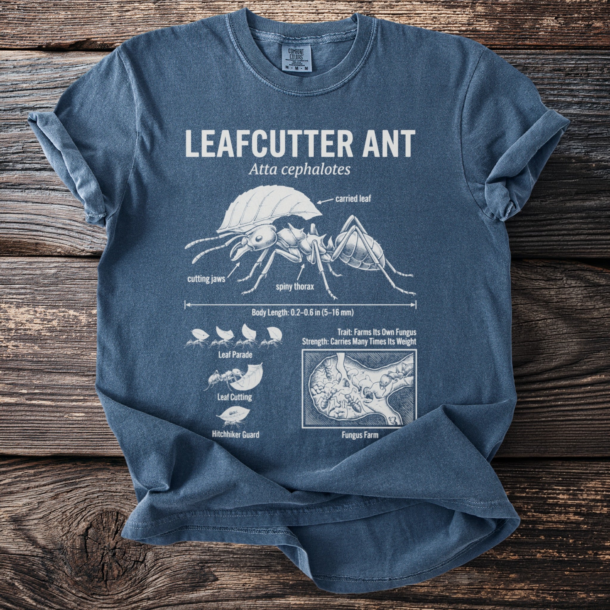 Blue t-shirt with "LEAFCUTTER ANT Atta cephalotes" graphic and ant anatomy.
