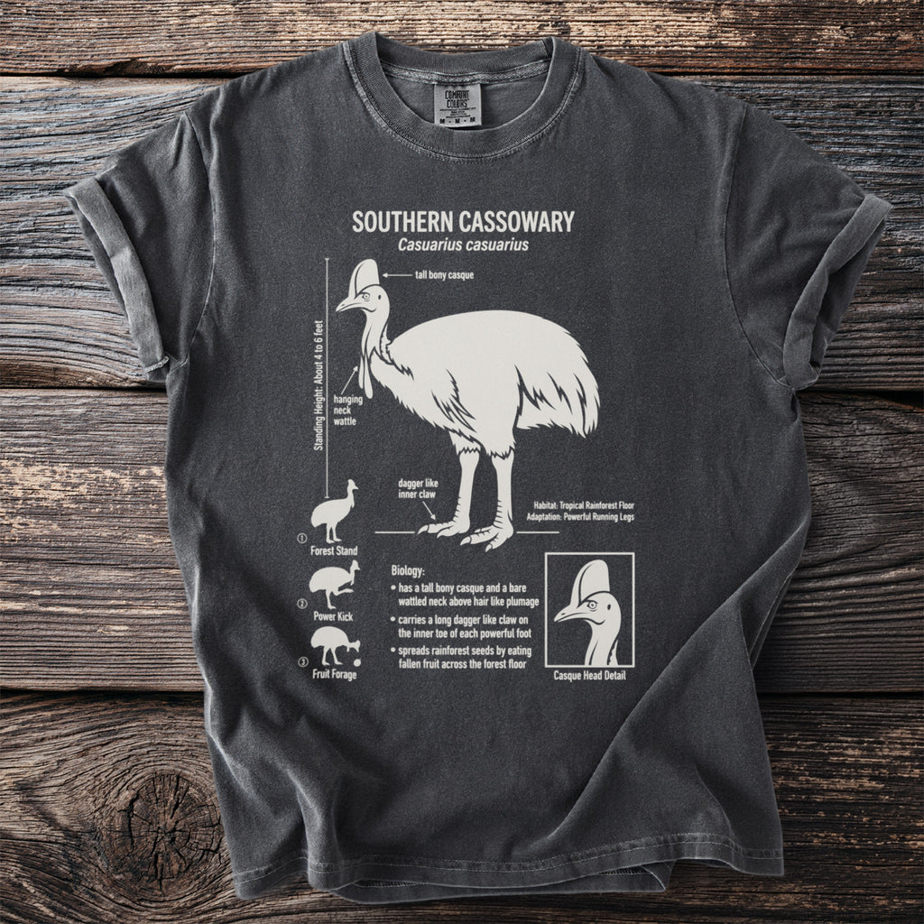 Southern Cassowary anatomical illustration with standing height, biology, and habitat information.