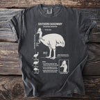 Southern Cassowary anatomical illustration with standing height, biology, and habitat information.