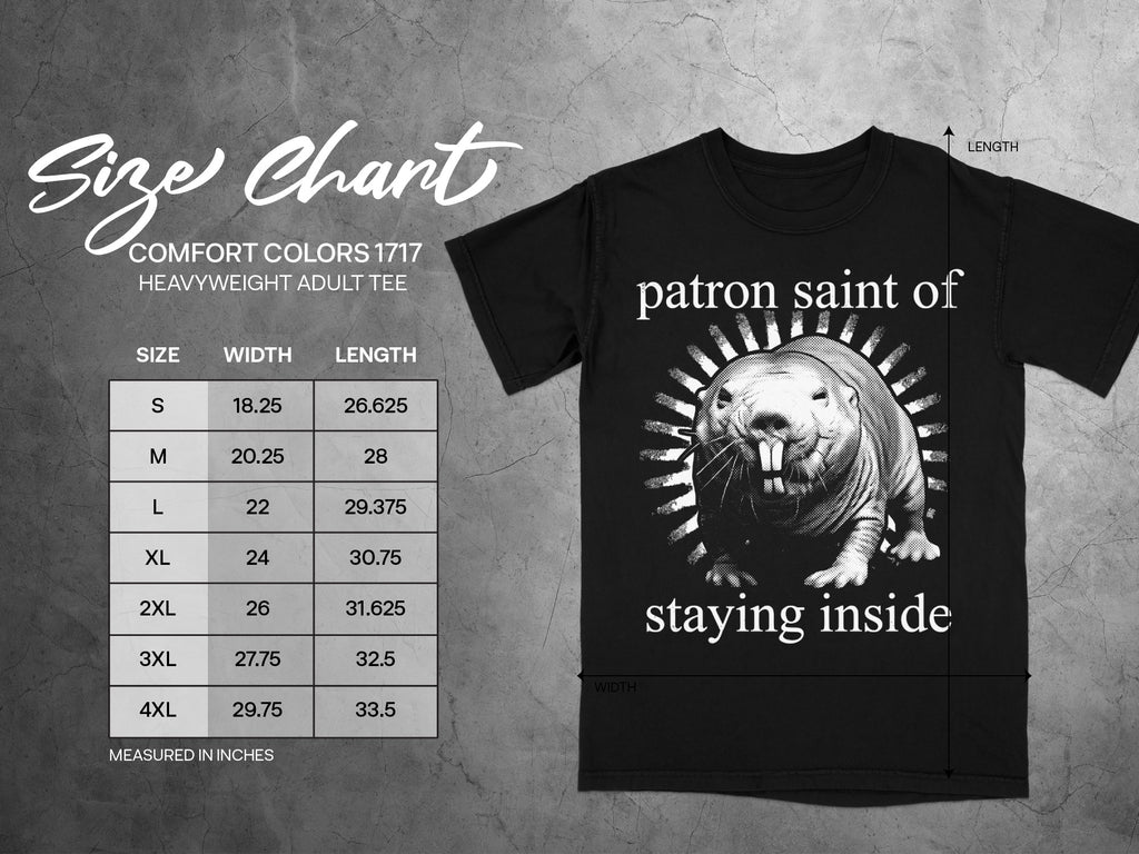 Comfort Colors size chart for heavyweight adult tee with width and length measurements.