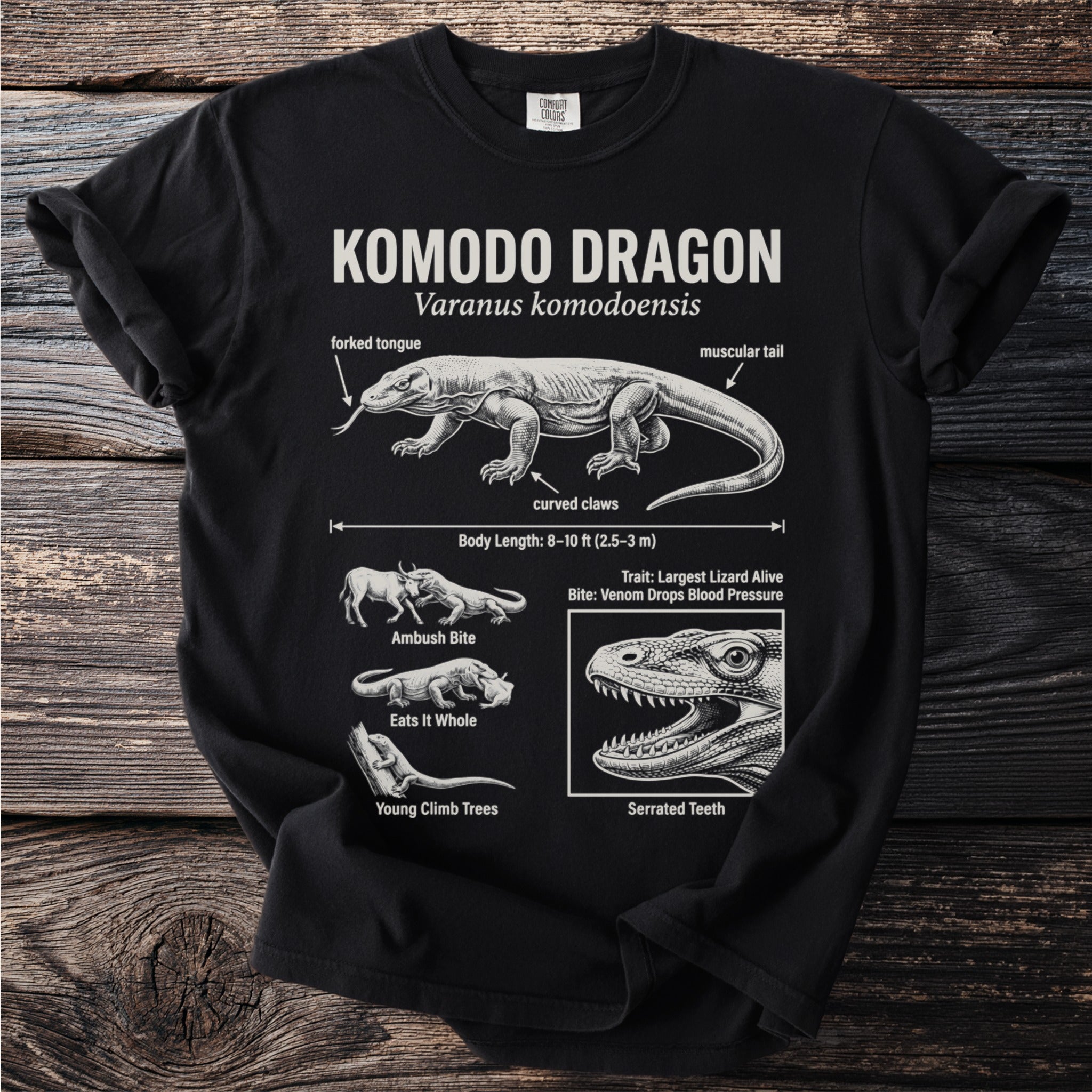 Komodo Dragon illustration with scientific details including anatomy, behavior, and size.