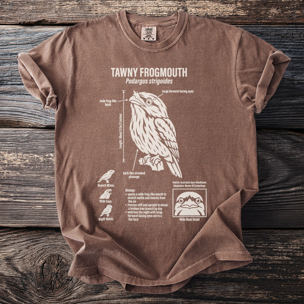 Brown t-shirt with Tawny Frogmouth illustration and biological facts.