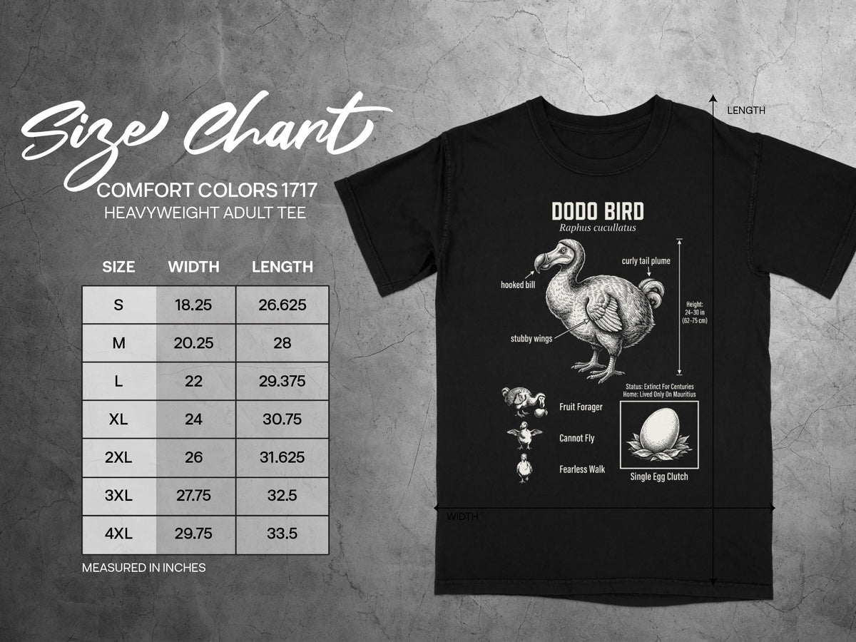 Dodo bird graphic and size chart for Comfort Colors 1717 heavyweight adult tee.