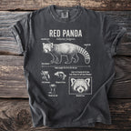 T-shirt with "Red Panda" scientific name and anatomical illustrations.