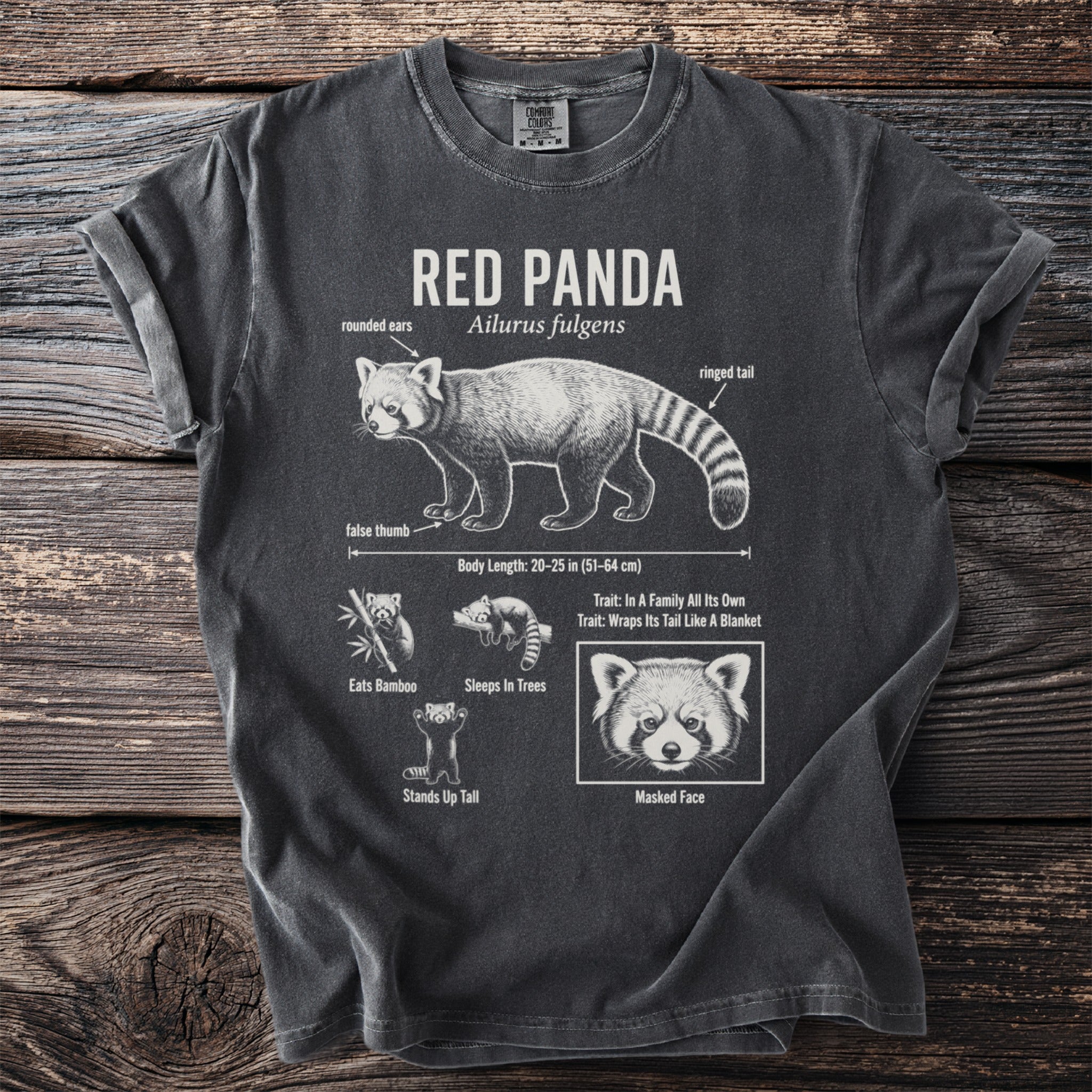 T-shirt with "Red Panda" scientific name and anatomical illustrations.