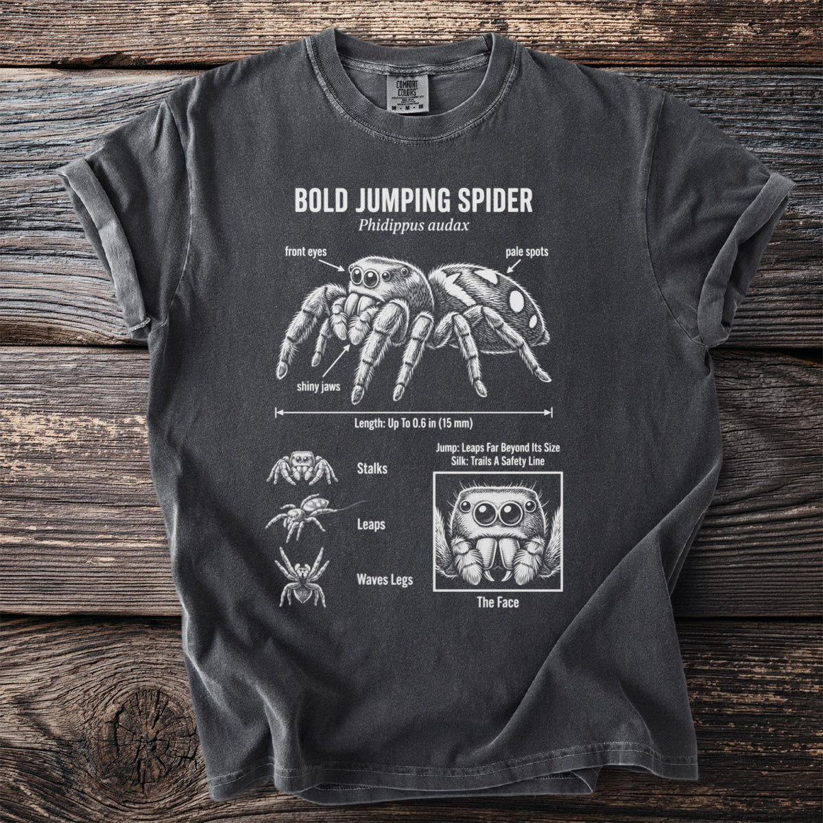 T-shirt with diagram of bold jumping spider, showing eyes, jaws, length, and behaviors.