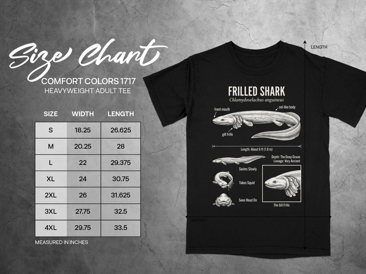 Frilled Shark t-shirt with size chart and detailed illustrations of the shark.