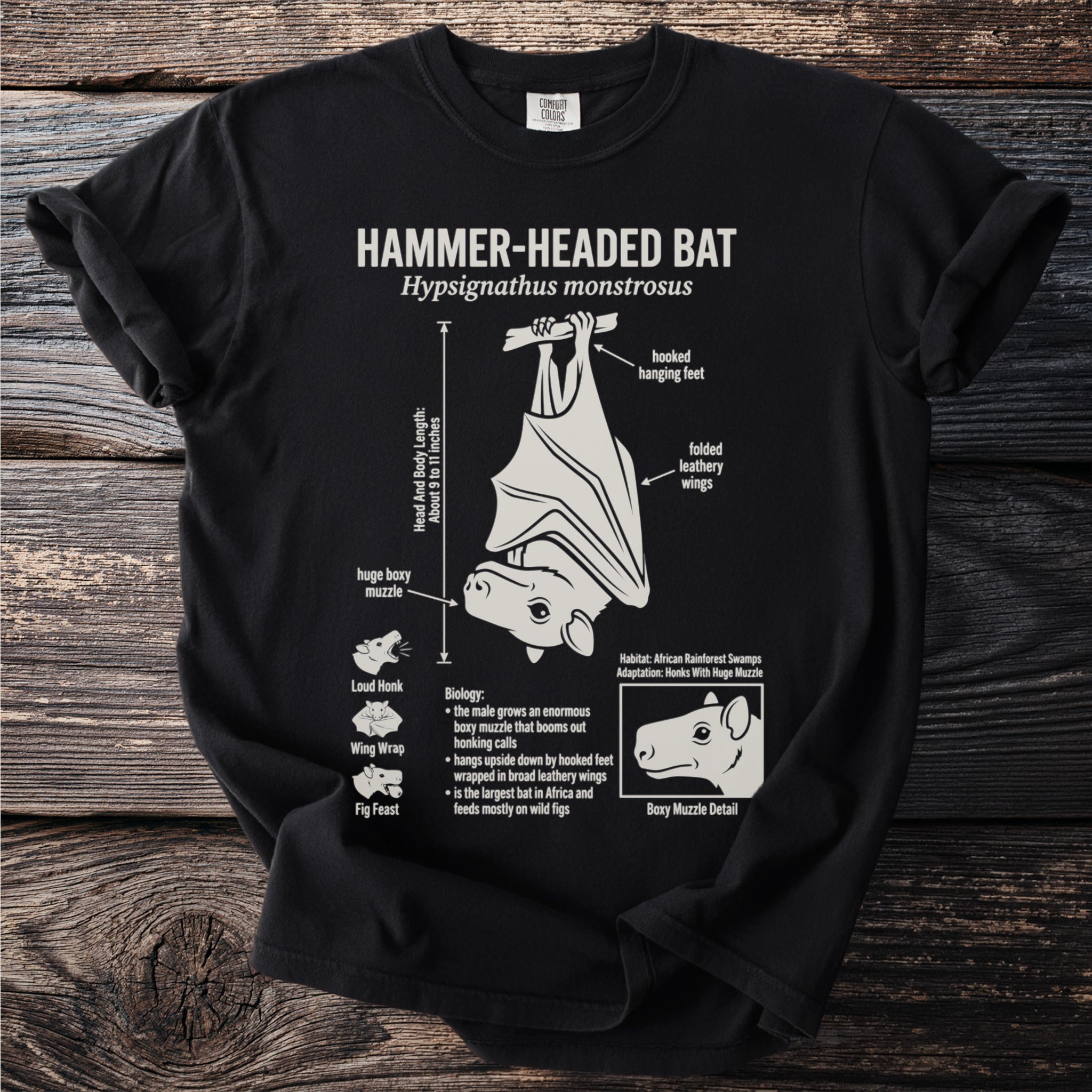 Black t-shirt graphic featuring a Hammer-Headed Bat with scientific details.