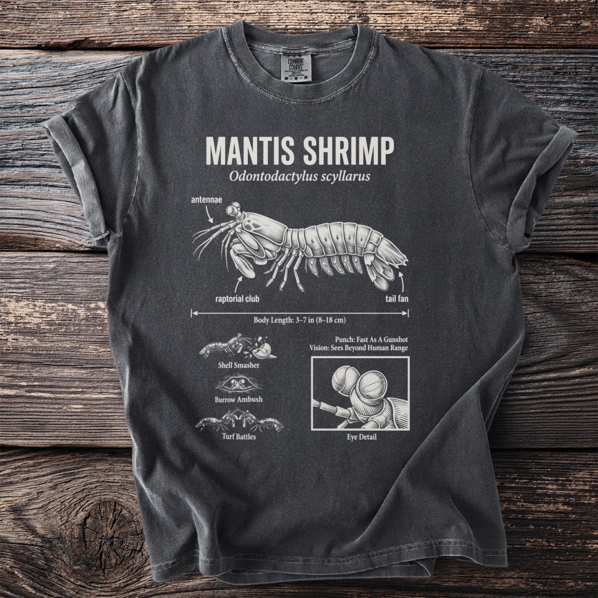 T-shirt with Mantis Shrimp diagram, showing anatomy and behaviors.