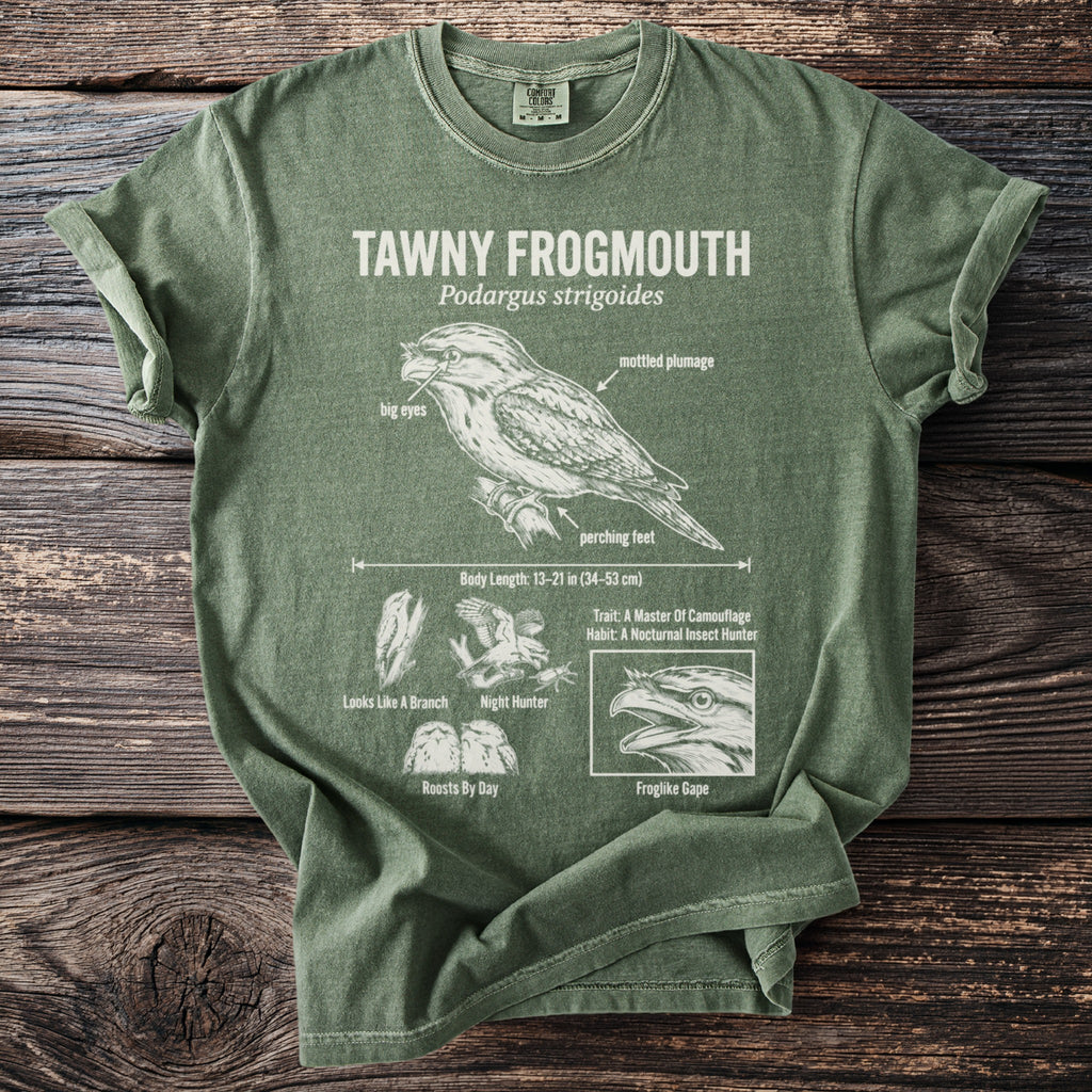 Green t-shirt with diagram of tawny frogmouth bird, including its features and scientific name.