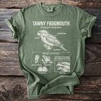 Green t-shirt with diagram of tawny frogmouth bird, including its features and scientific name.