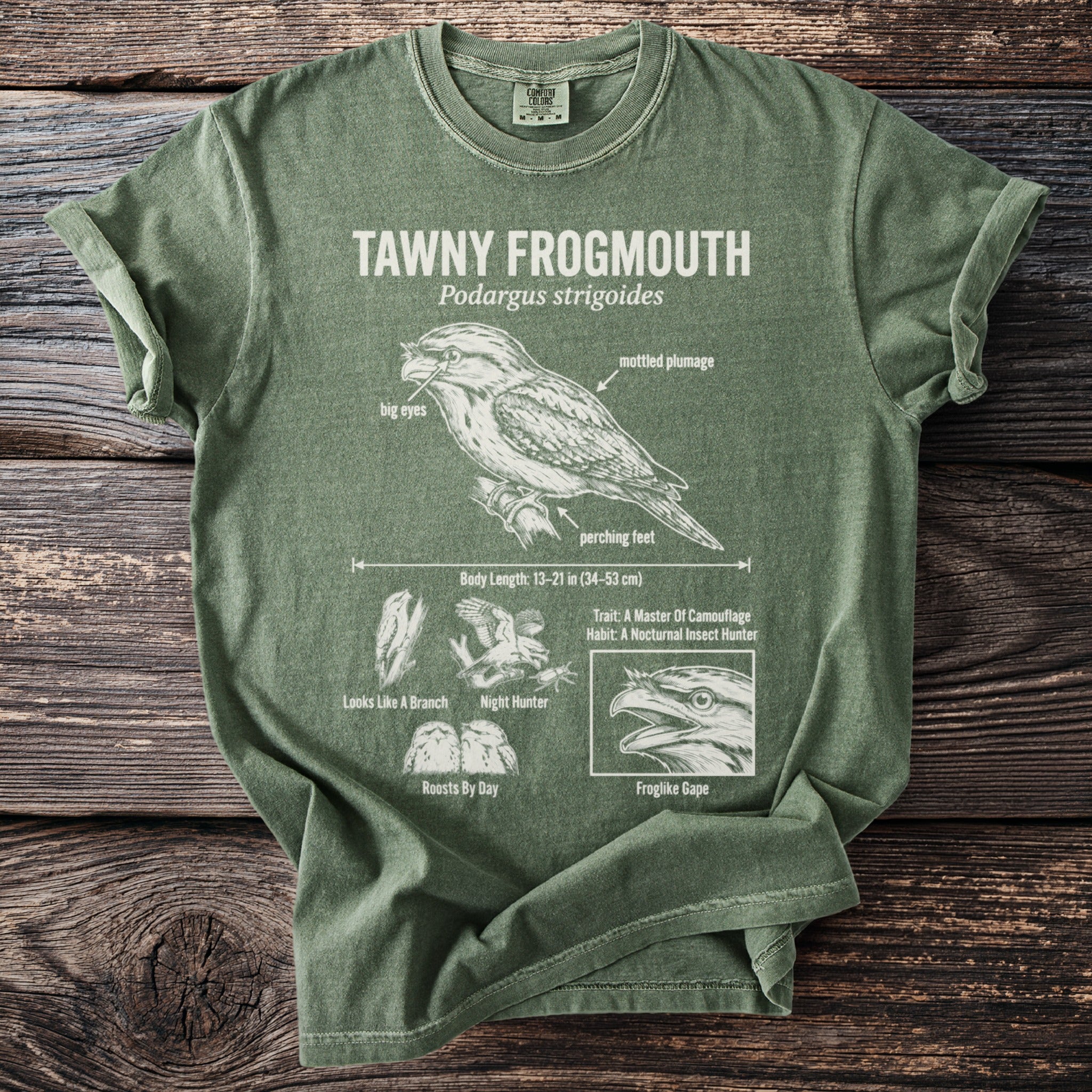Green t-shirt with diagram of tawny frogmouth bird, including its features and scientific name.