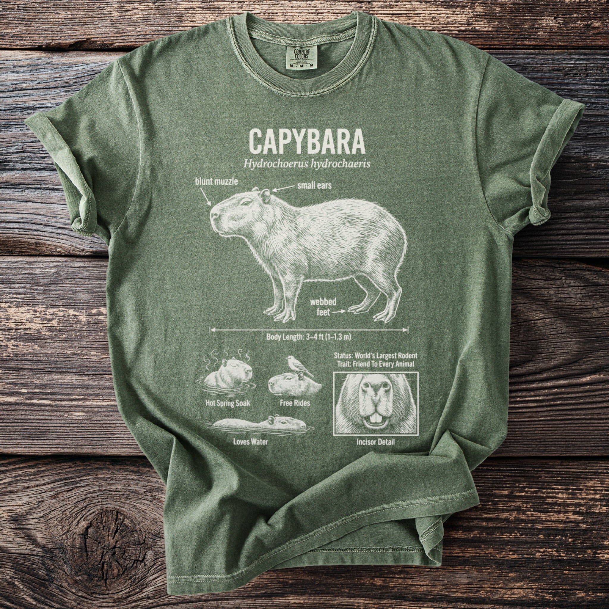 Green t-shirt with a diagram illustrating the capybara, its features and behaviors.