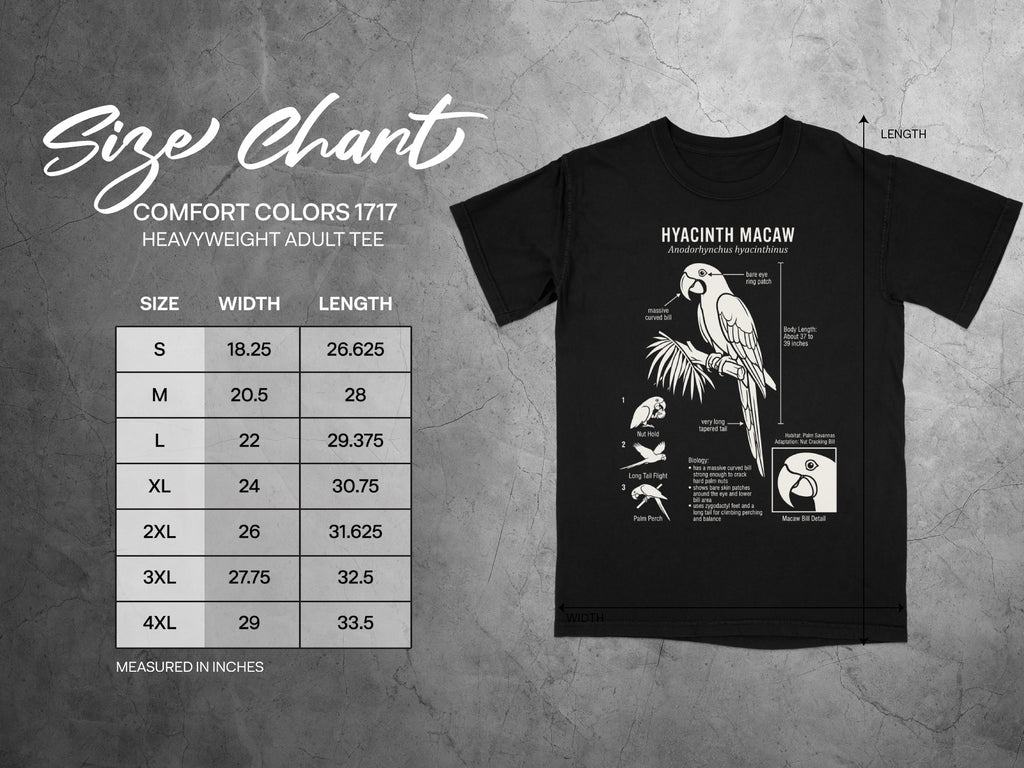 Comfort Colors 1717 heavyweight t-shirt size chart and Hyacinth Macaw illustration.