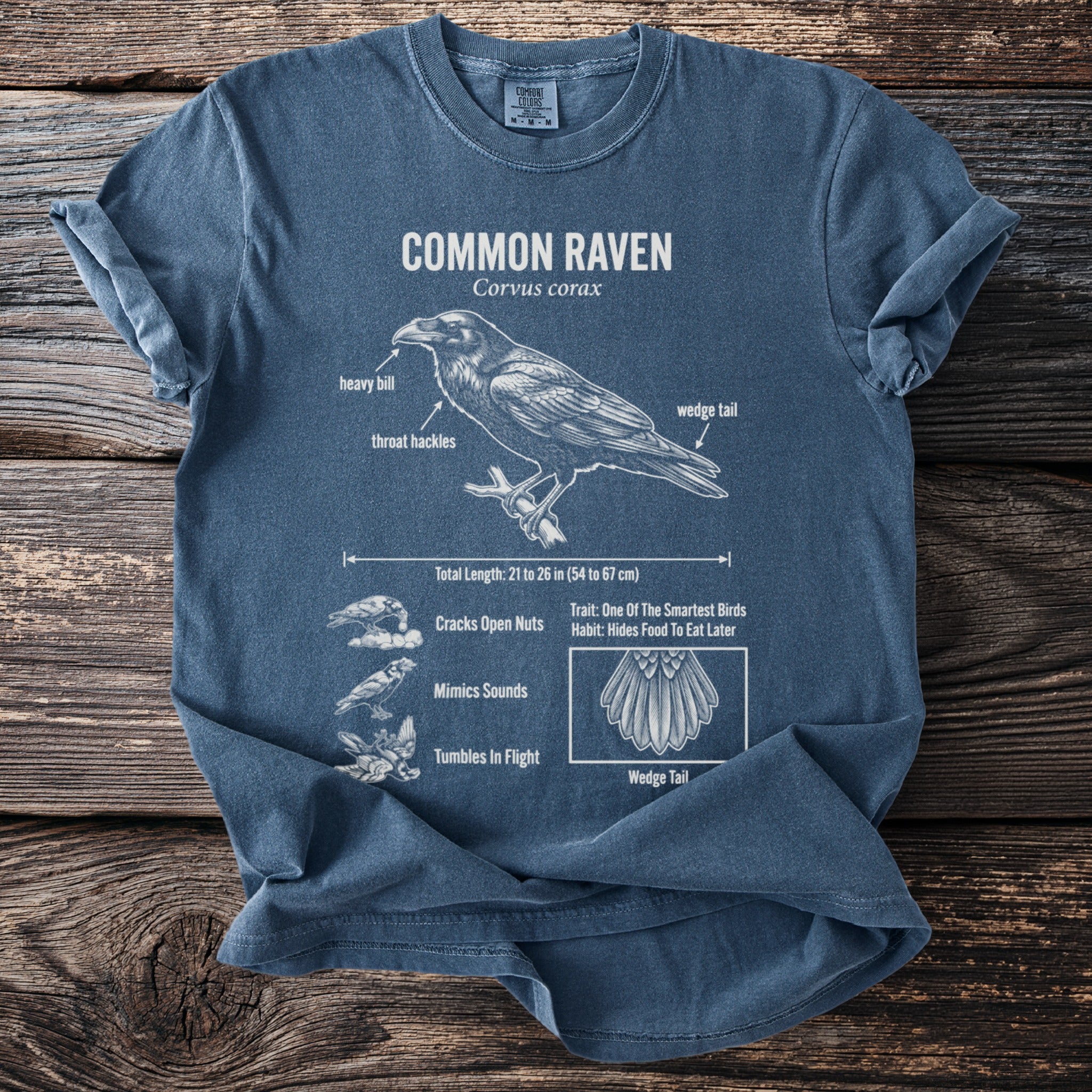 Blue t-shirt with Common Raven illustration and facts about its bill, tail, and behavior.