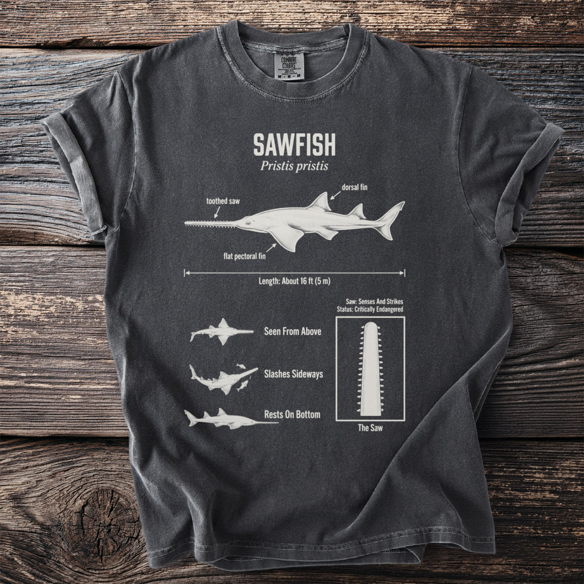 Dark gray t-shirt graphic with sawfish anatomy and information.