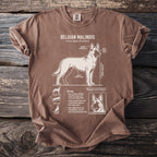 Brown t-shirt with Belgian Malinois anatomy and biology diagram.