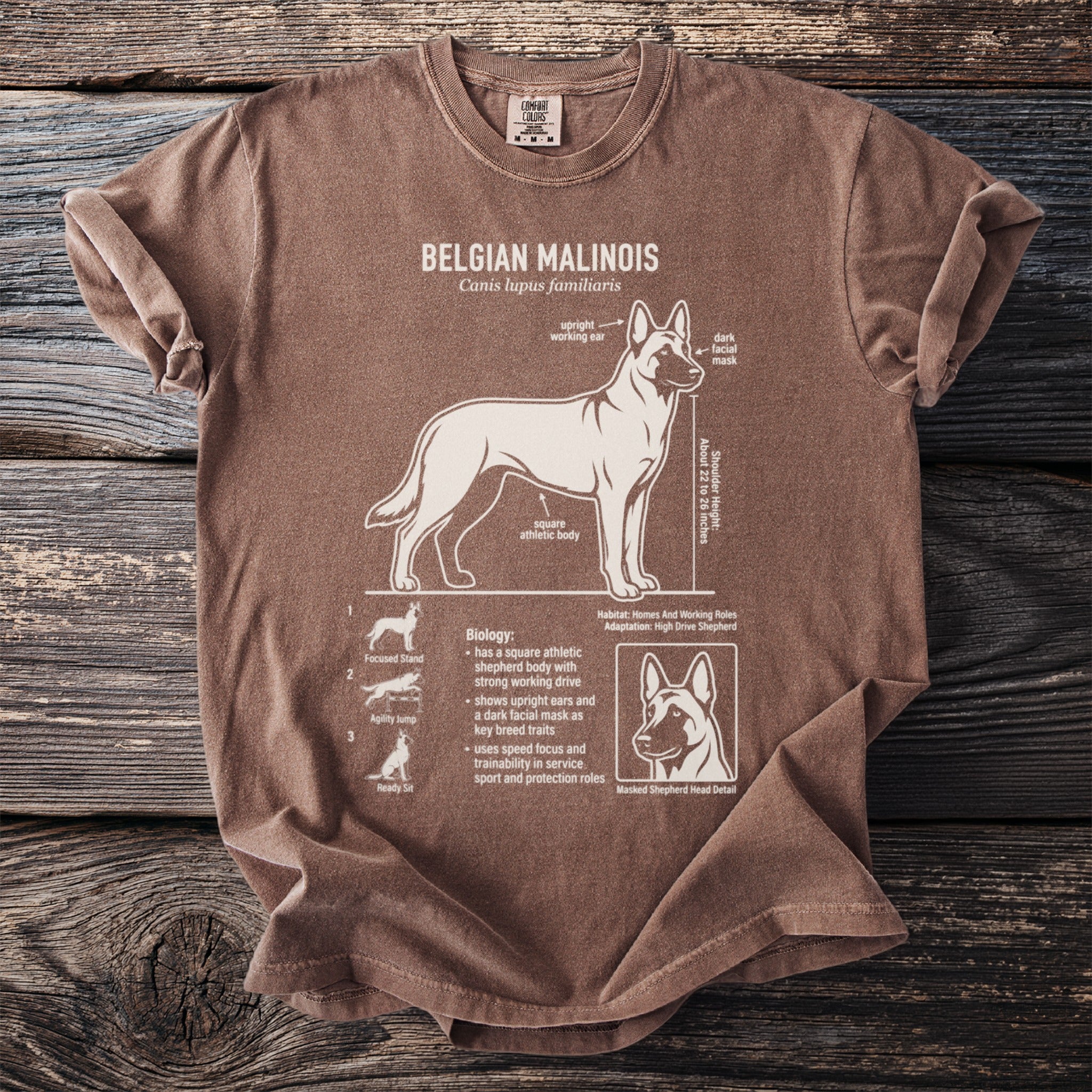 Brown t-shirt with Belgian Malinois anatomy and biology diagram.