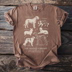 Brown t-shirt with illustrated dog breeds: Irish Wolfhound, Border Collie, Welsh Corgi, Saluki, Borzoi, and Greyhound.