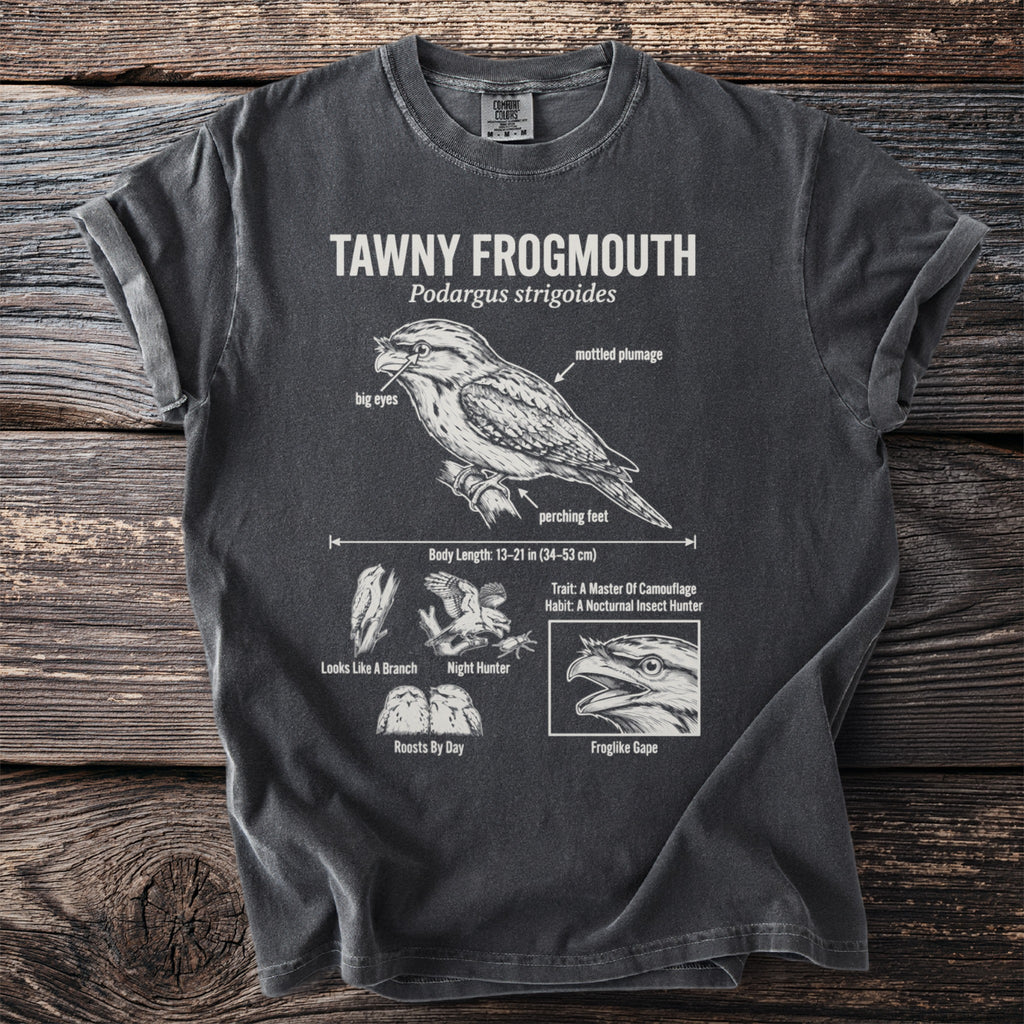 Tawny Frogmouth bird illustration with scientific details and text on a charcoal t-shirt.