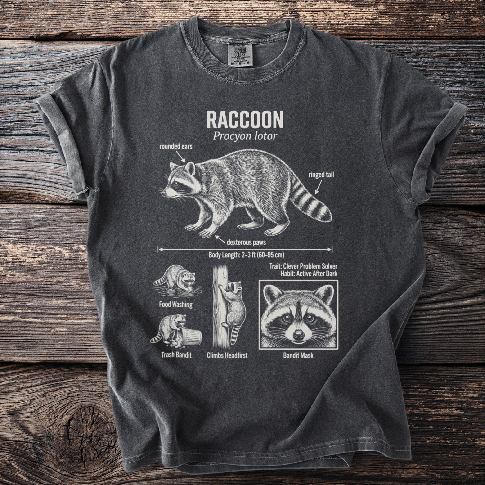 Dark grey t-shirt with "RACCOON Procyon lotor" text and illustrated raccoon with anatomical callouts.