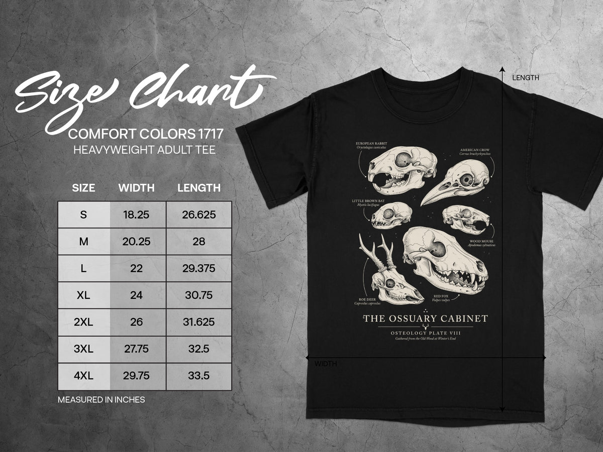 Comfort Colors 1717 heavyweight adult tee size chart with animal skulls.