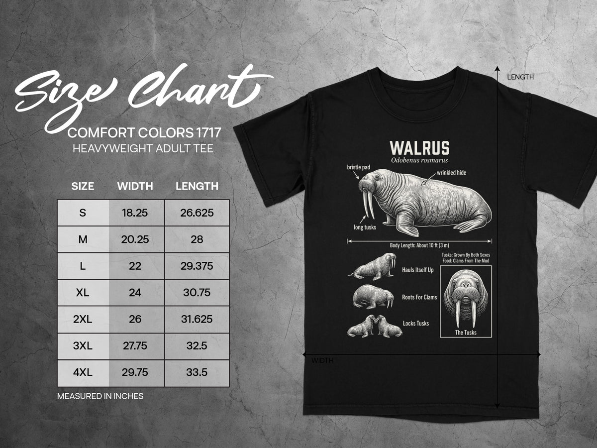 Comfort Colors 1717 t-shirt size chart with walrus illustration and dimensions.