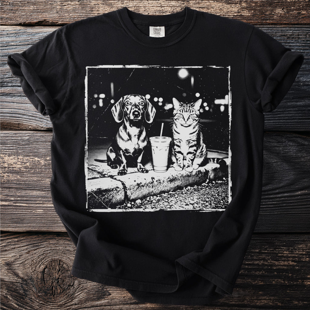 Dachshund and tabby cat sit with a to-go cup in a gritty urban setting.
