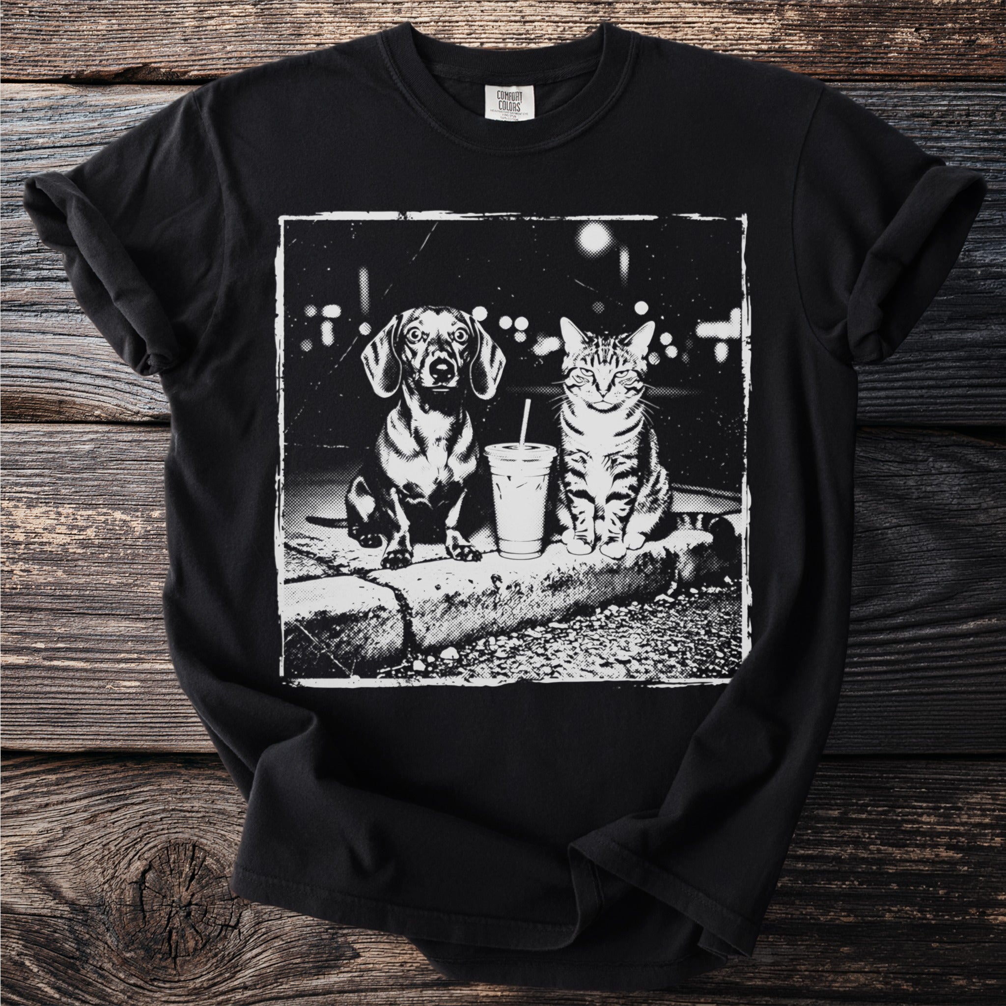Dachshund and tabby cat sit with a to-go cup in a gritty urban setting.