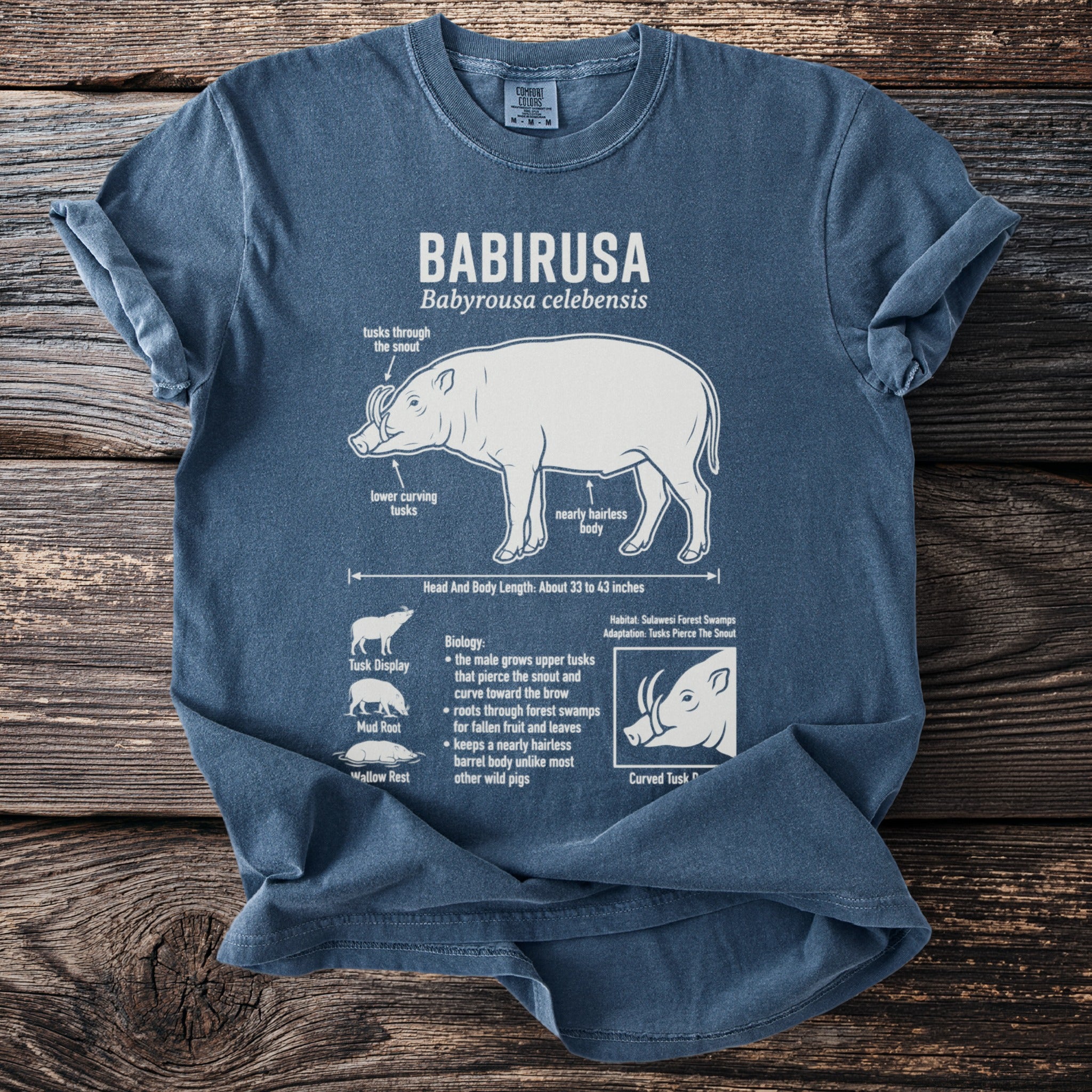 Blue t-shirt with diagram and facts about the Babirusa animal.