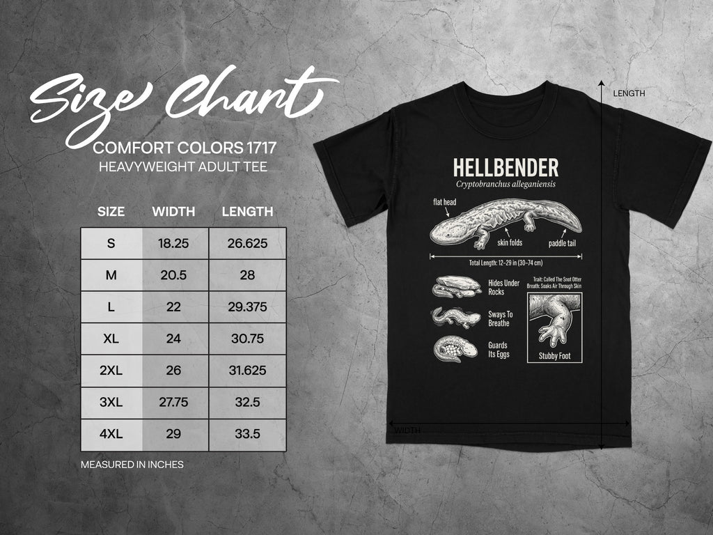 Comfort Colors 1717 garment size chart in inches.