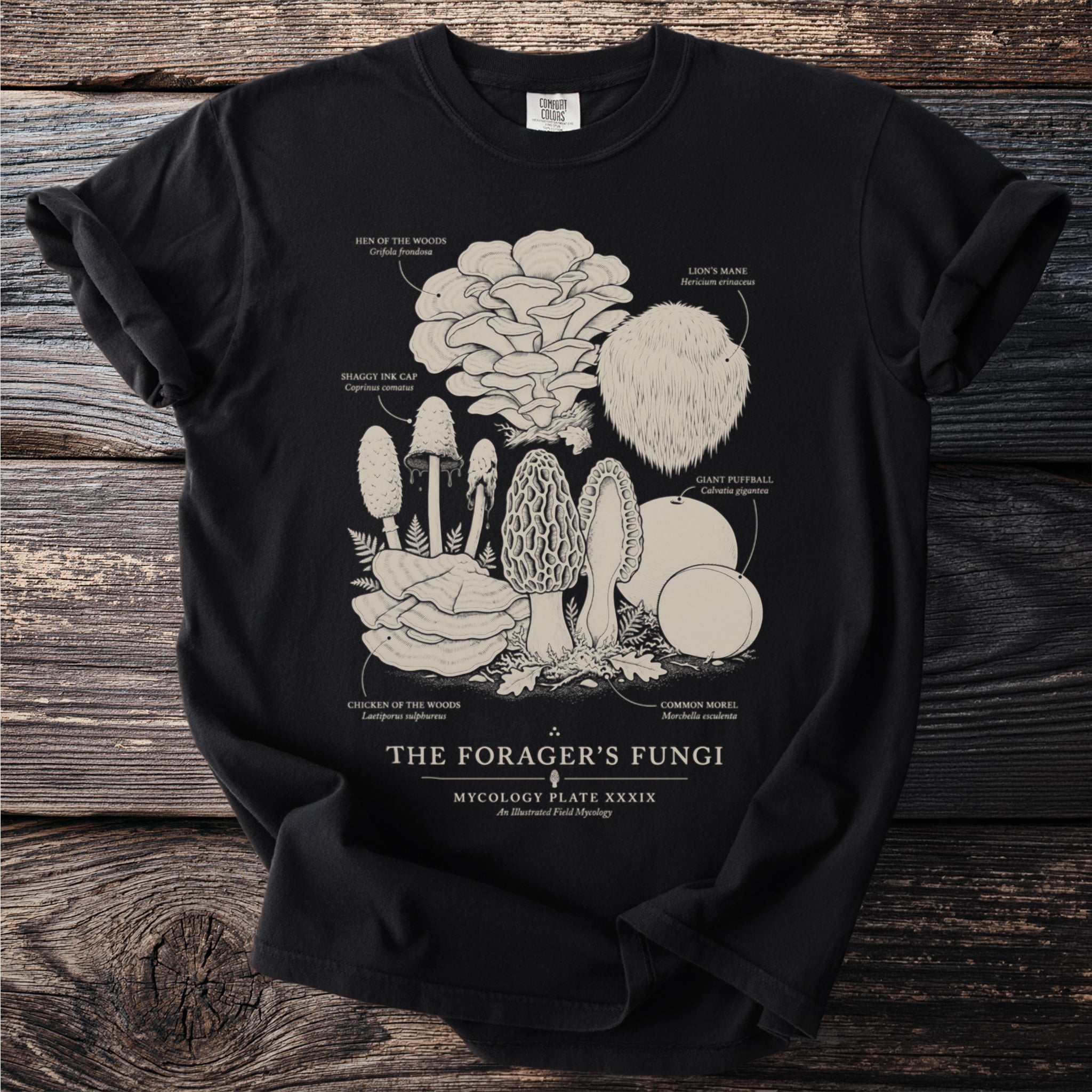 T-shirt with illustration of various mushrooms labeled "The Forager's Fungi".