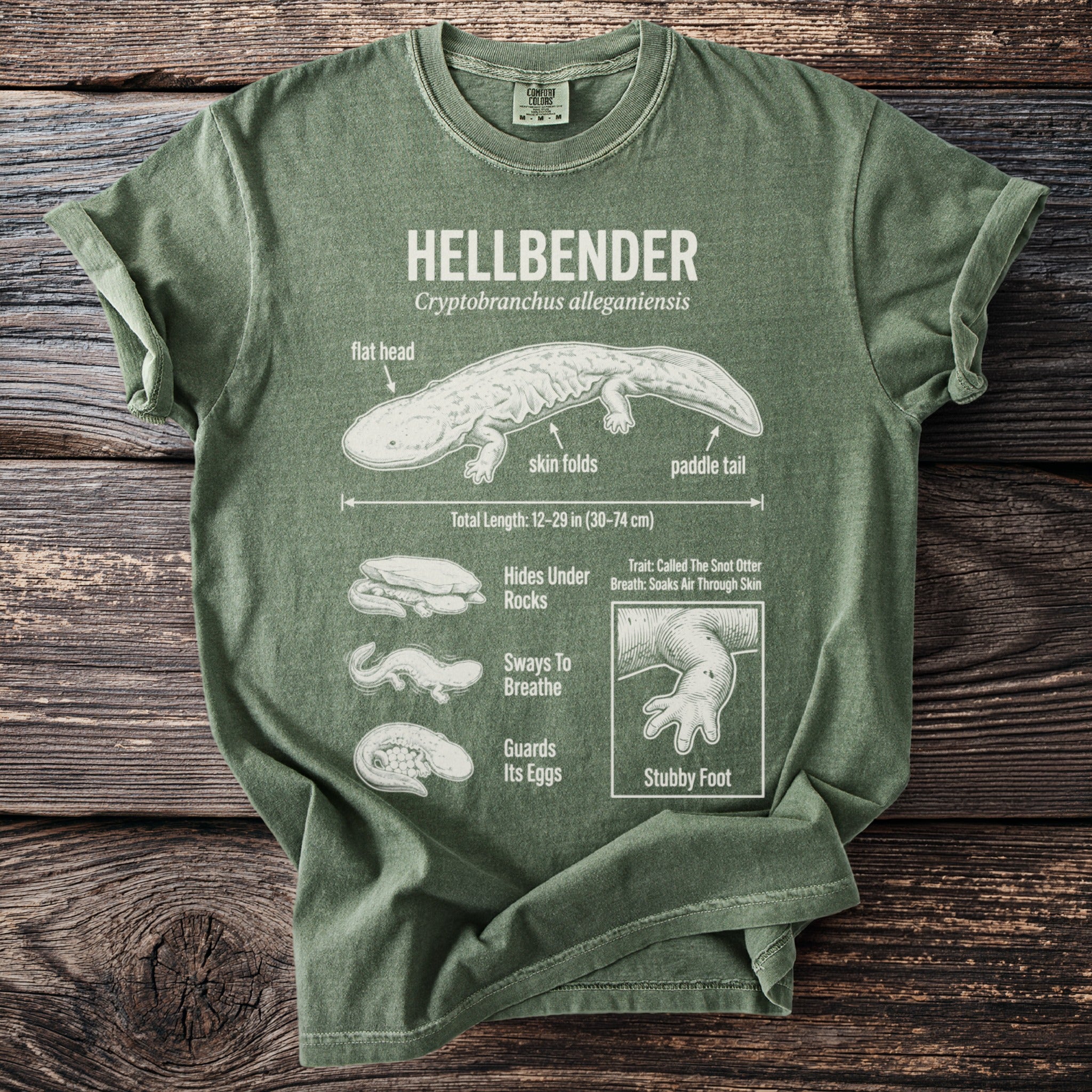 Green t-shirt with Hellbender diagram, showing anatomy and common behaviors.