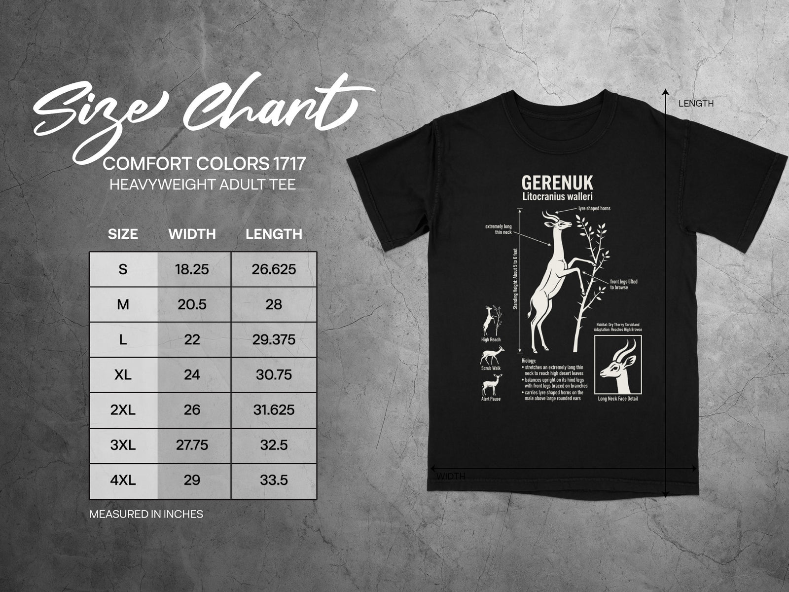 Gerenuk size chart with width and length measurements for sizes S to 4XL.