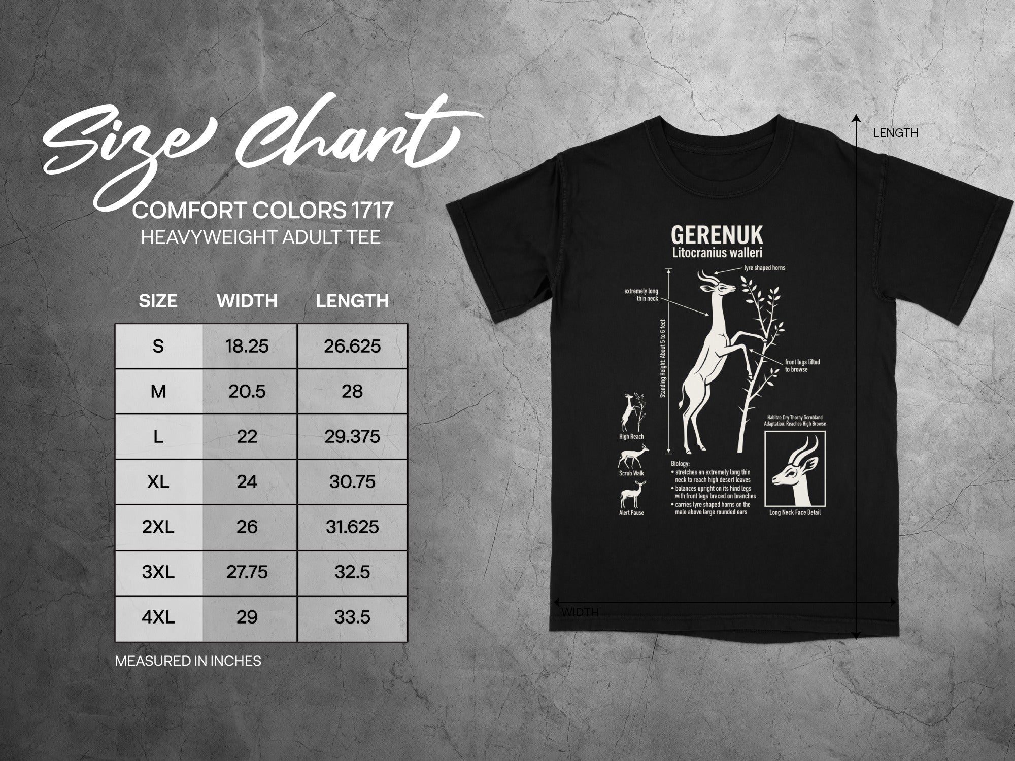 Gerenuk size chart with width and length measurements for sizes S to 4XL.