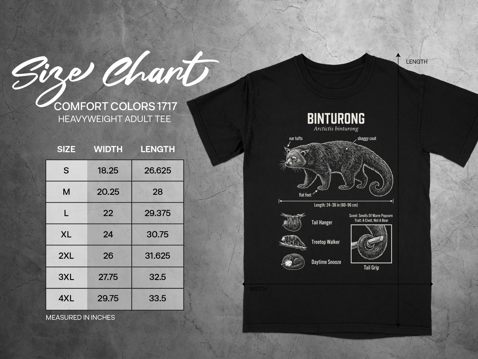 Comfort Colors 1717 size chart for a heavyweight adult tee with binturong graphic.
