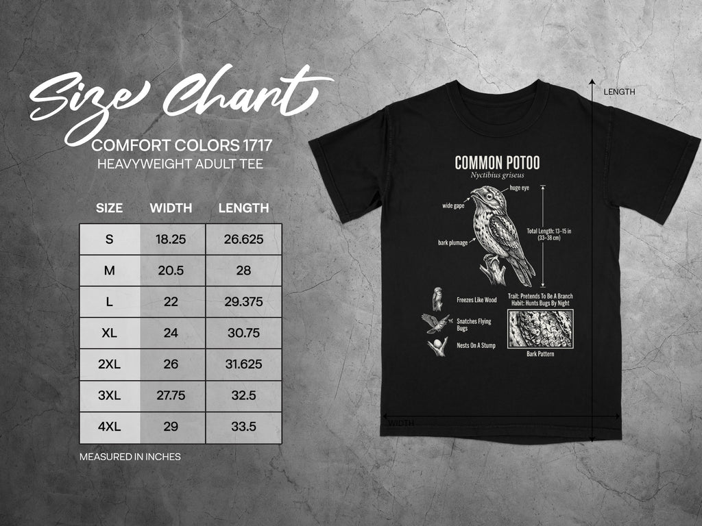Comfort Colors 1717 garment size chart in inches.