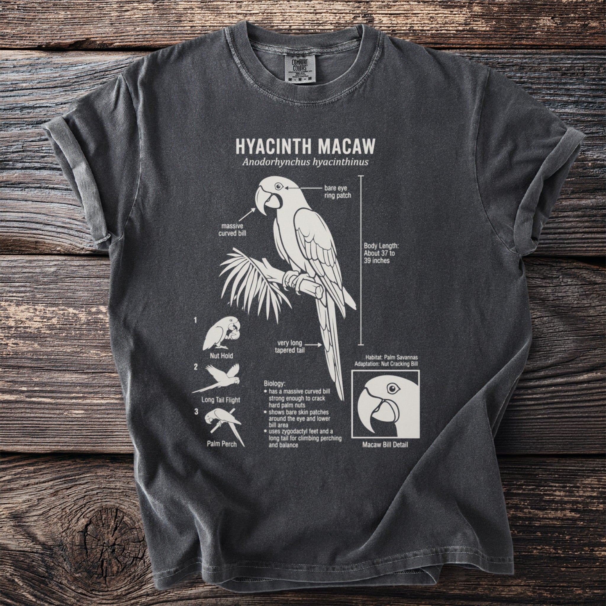 T-shirt featuring a scientific illustration of a Hyacinth Macaw with labels.