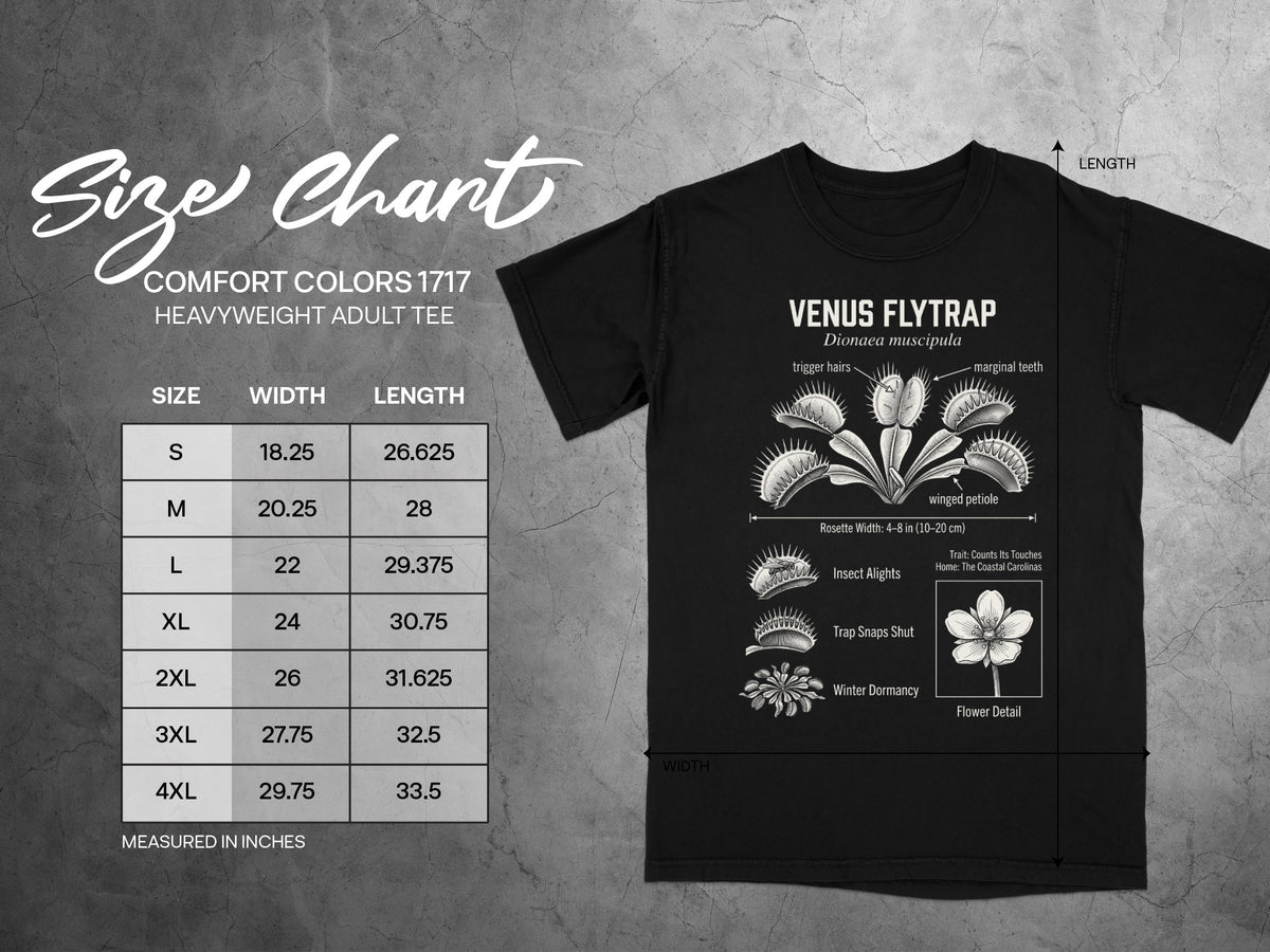 Black t-shirt size chart with Venus Flytrap diagram and measurements in inches.