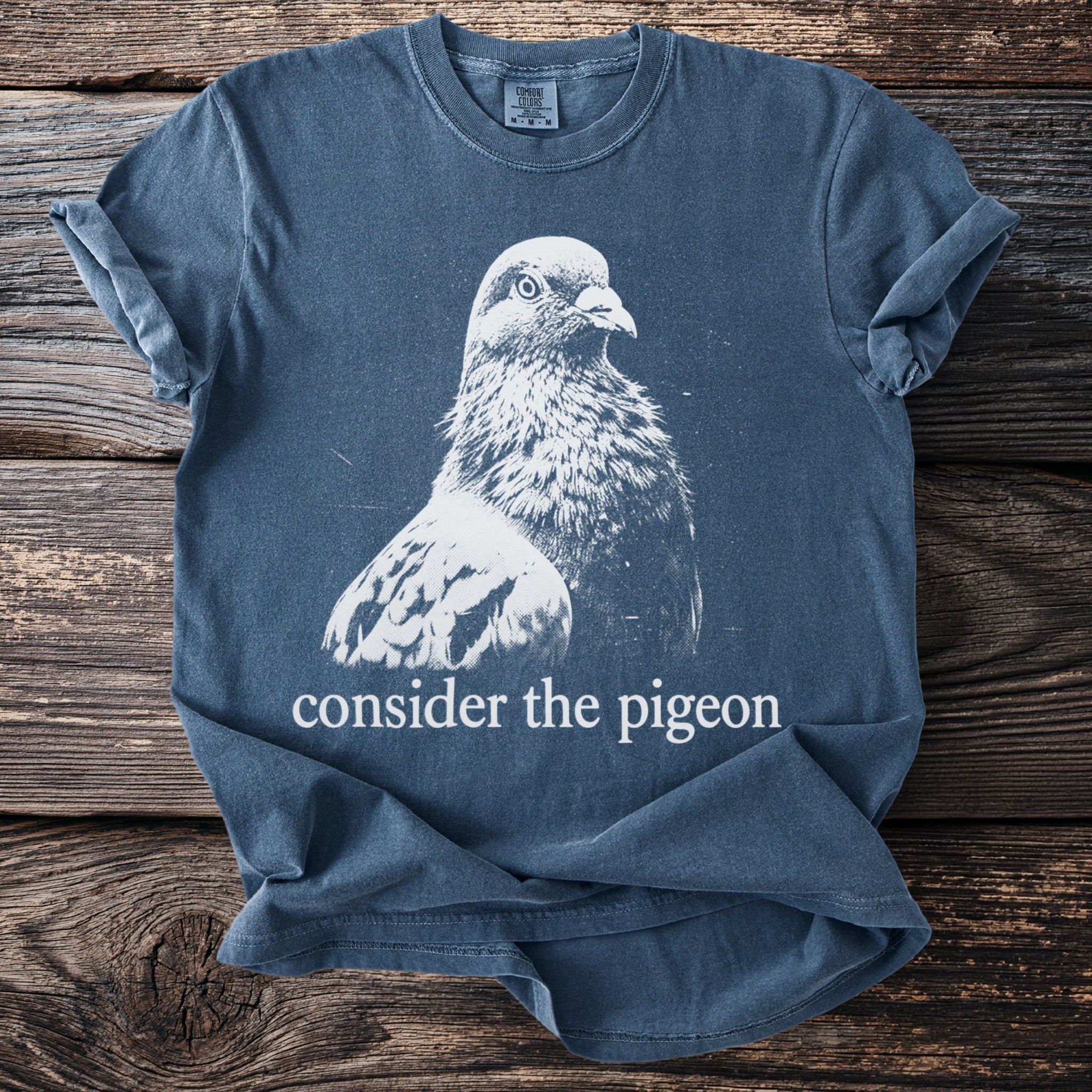 T-shirt with white graphic of a pigeon and the text "consider the pigeon".