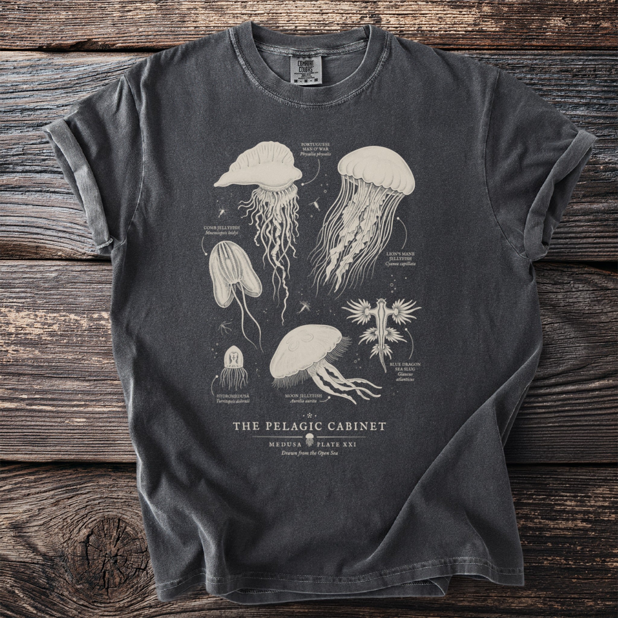 Dark grey t-shirt with vintage-style scientific illustrations of jellyfish and sea slugs.
