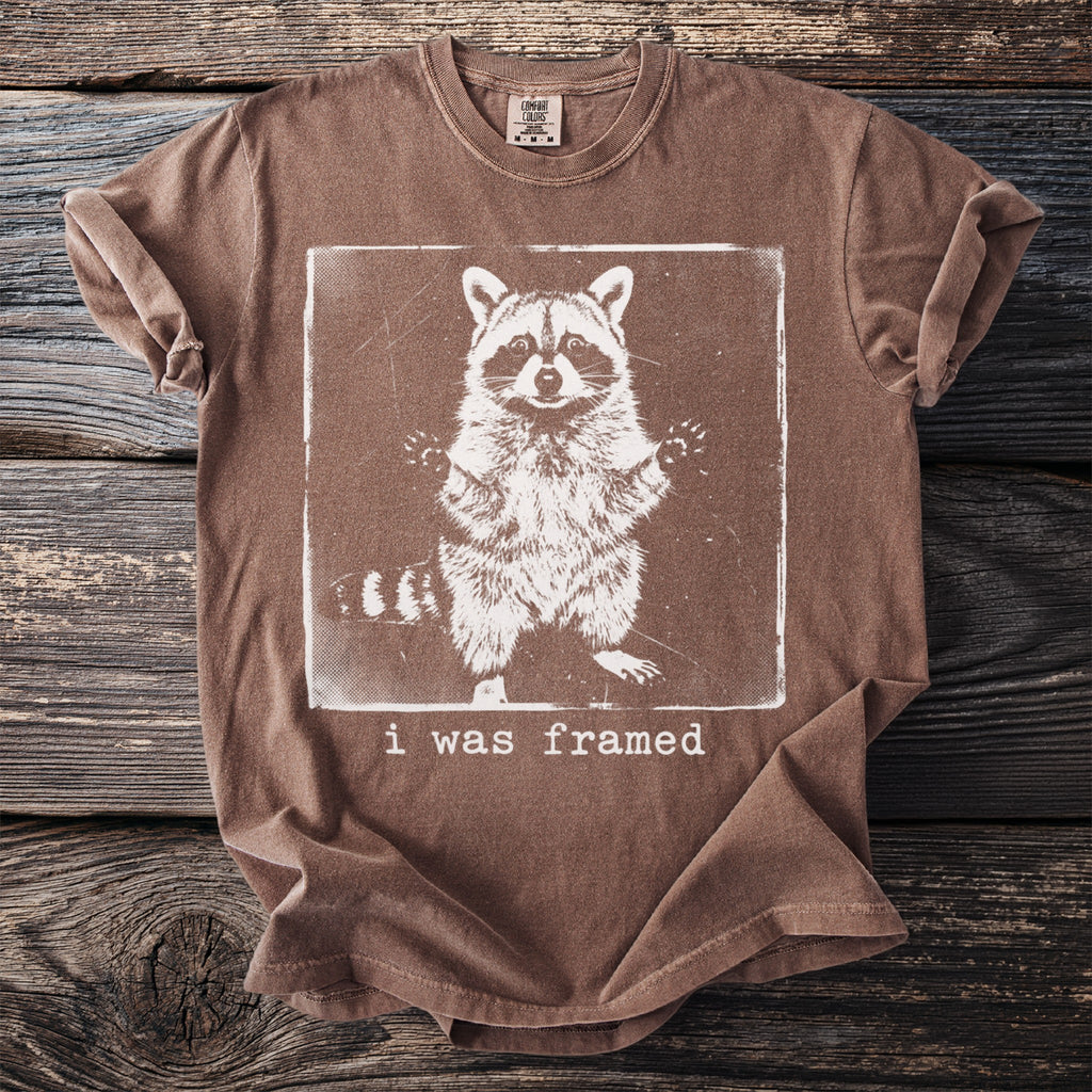 Brown t-shirt with a framed raccoon graphic and text that says "i was framed".