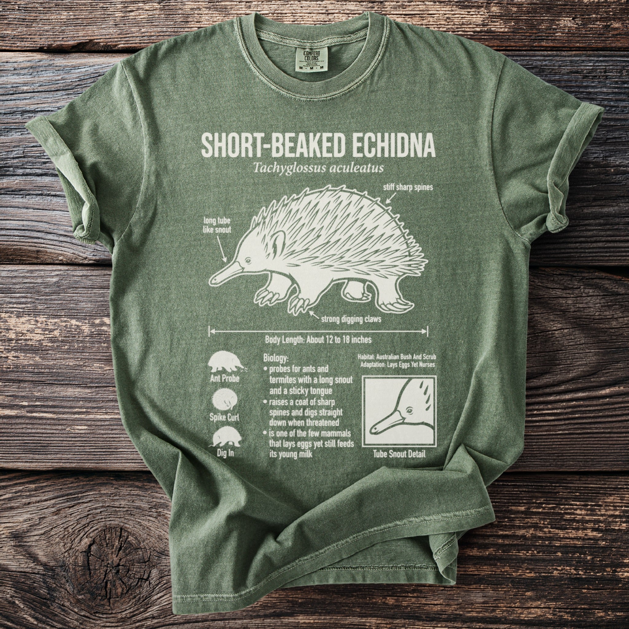 Green t-shirt with scientific illustration of a short-beaked echidna and its features.