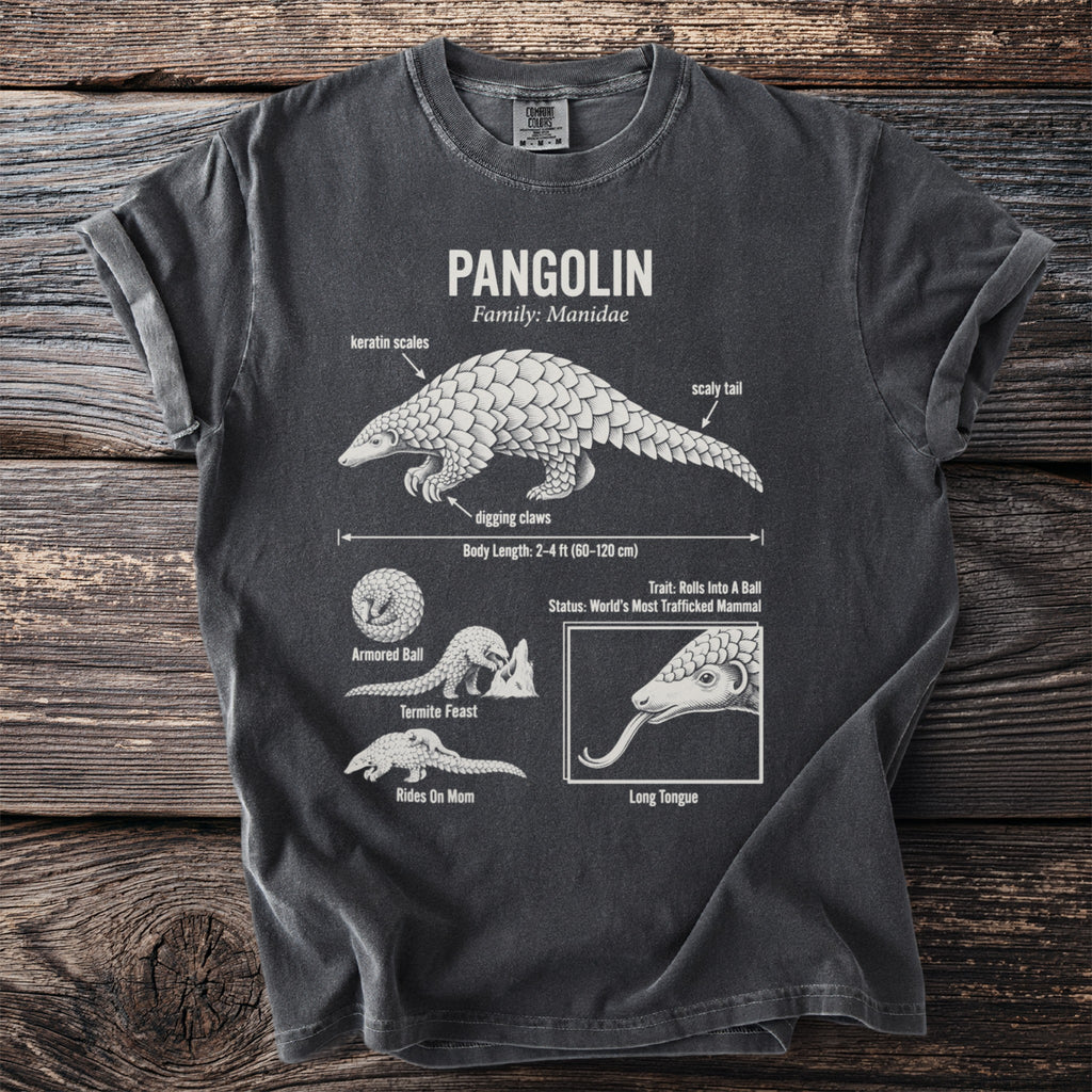 Pangolin diagram on charcoal shirt with "Pangolin Family: Manidae" text.