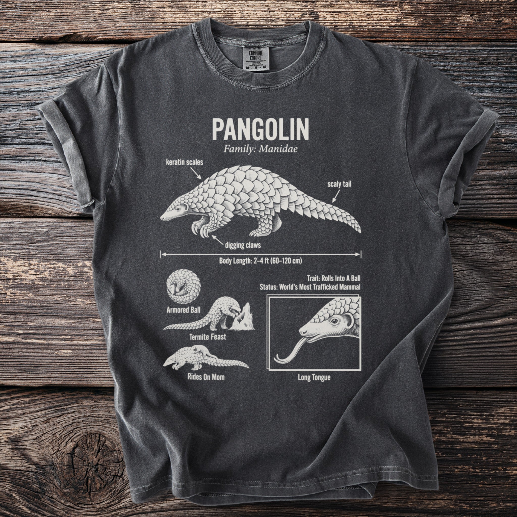 Pangolin diagram on charcoal shirt with "Pangolin Family: Manidae" text.