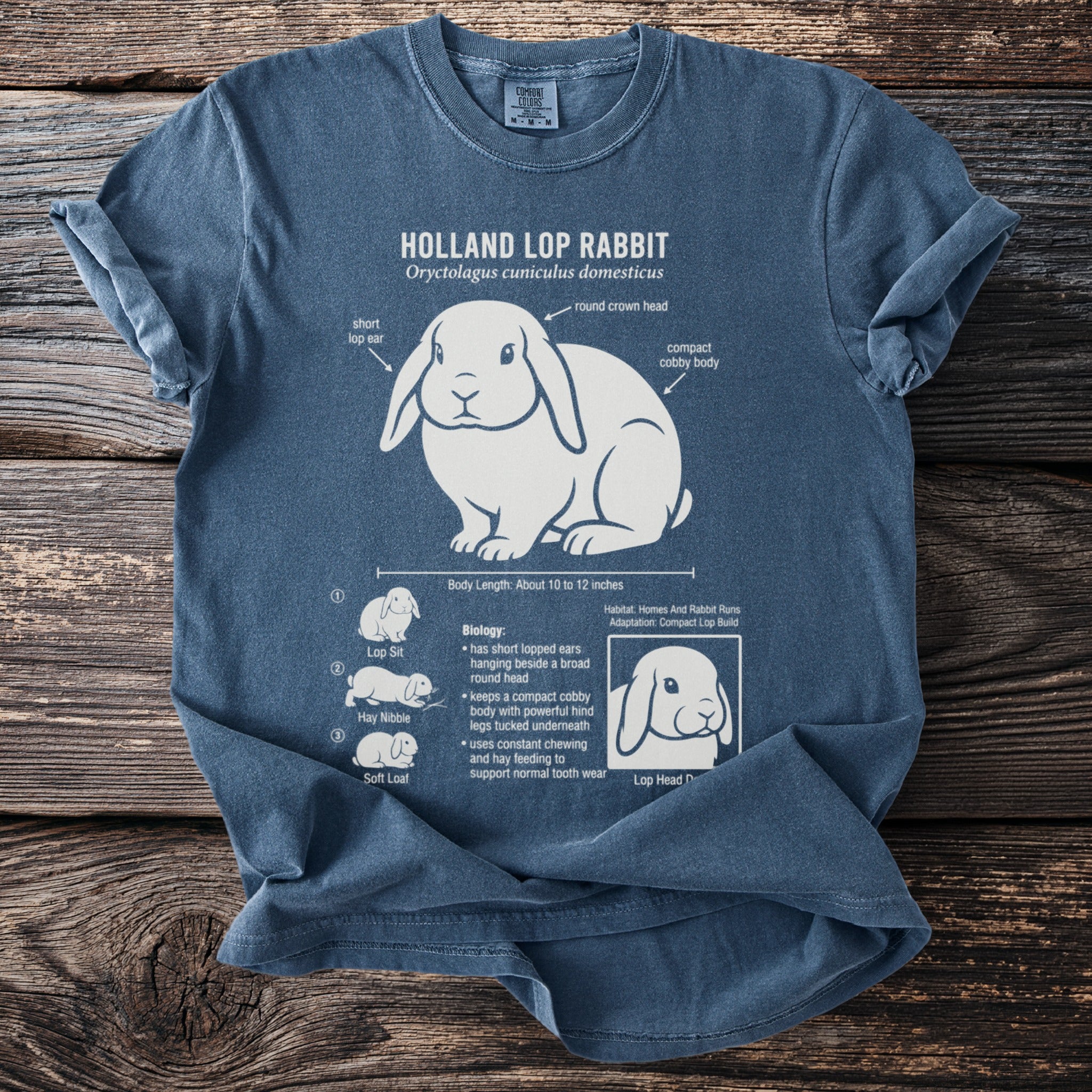 Blue t-shirt with white illustration and information about Holland Lop Rabbits.